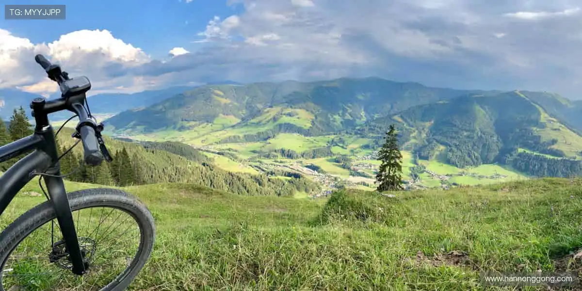 📺 高清直播,让你身临其境!