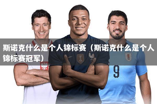 斯诺克什么是个人锦标赛（斯诺克什么是个人锦标赛冠军）