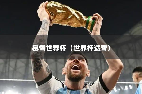暴雪世界杯(世界杯遇雪)