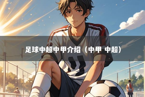 足球中超中甲介绍(中甲 中超)