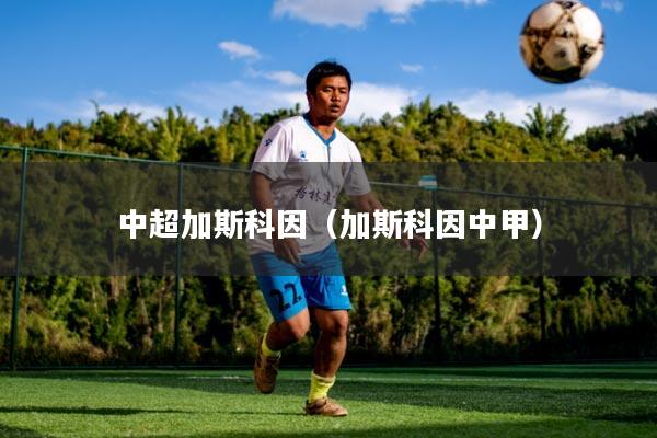 中超加斯科因（加斯科因中甲）