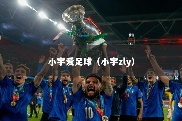 小宇爱足球（小宇zly）