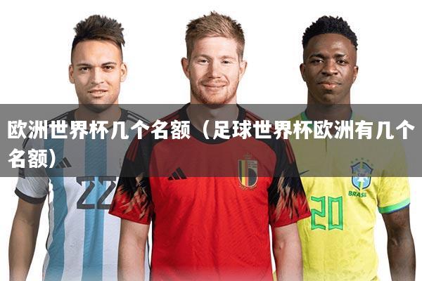 欧洲世界杯几个名额（足球世界杯欧洲有几个名额）