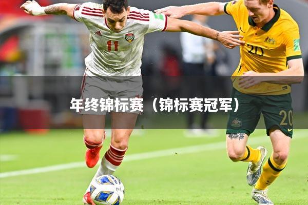 年终锦标赛（锦标赛冠军）