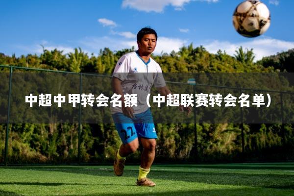 中超中甲转会名额（中超联赛转会名单）
