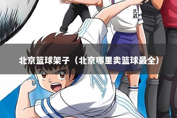 北京篮球架子（北京哪里卖篮球最全）