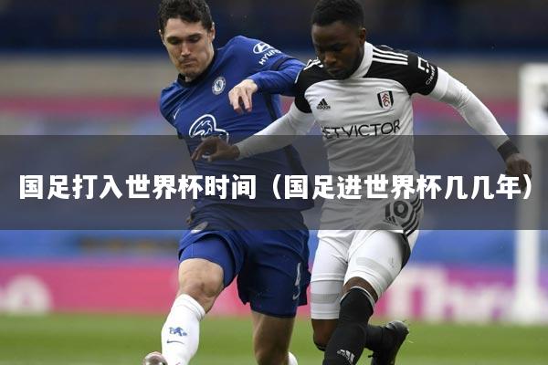 国足打入世界杯时间（国足进世界杯几几年）