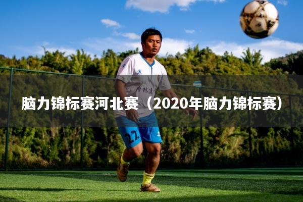 脑力锦标赛河北赛（2020年脑力锦标赛）