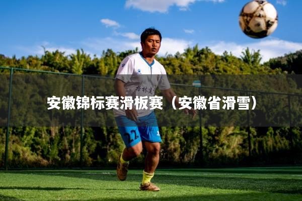 安徽锦标赛滑板赛（安徽省滑雪）