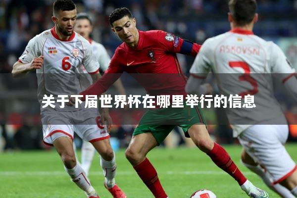 关于下届世界杯在哪里举行的信息